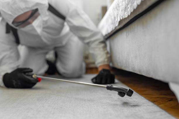Professional Termite Control technician working in Fletcher, NC