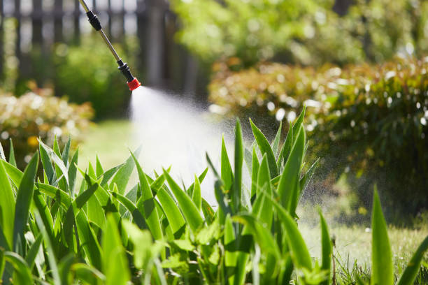 24/7 Emergency Termite Control experts in Fletcher, NC